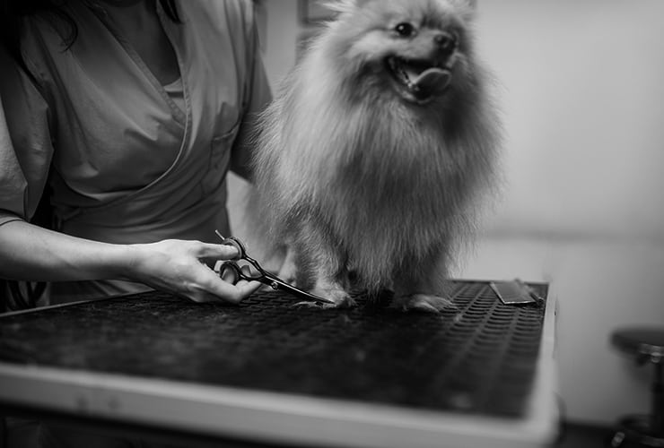 Imagen cabecera post