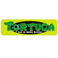 tortuga