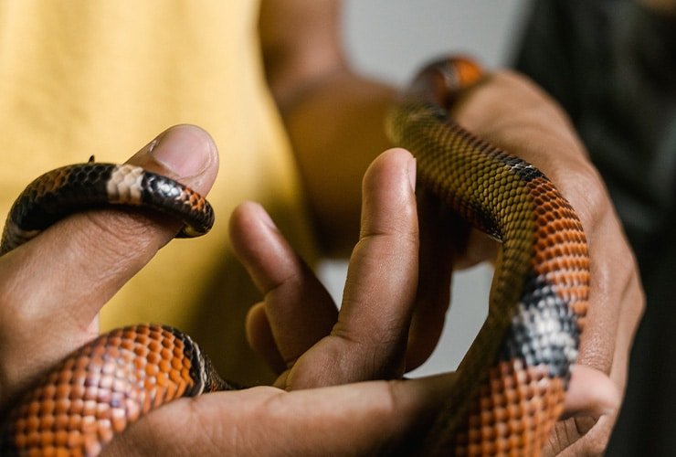 Imagen cabecera post