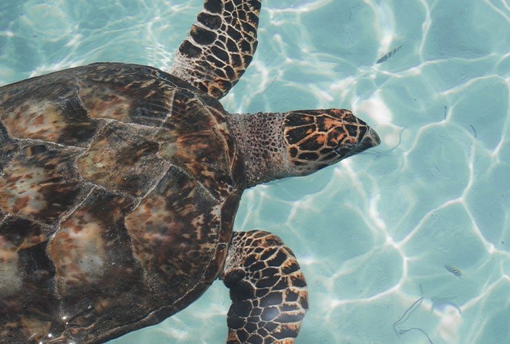 Imagen cabecera post