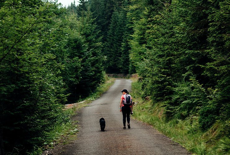 Imagen cabecera post