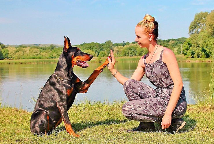 Imagen cabecera post