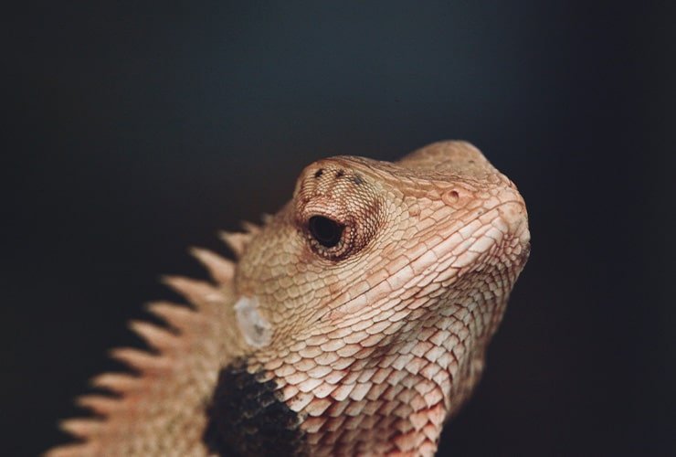 Imagen cabecera post