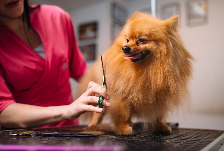 Imagen cabecera post