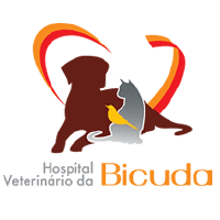 logo_bicuda