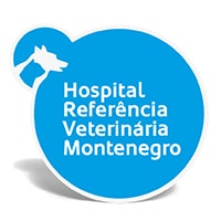 logo-hospital-montenegro