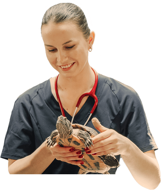 Técnico de Animais Exóticos