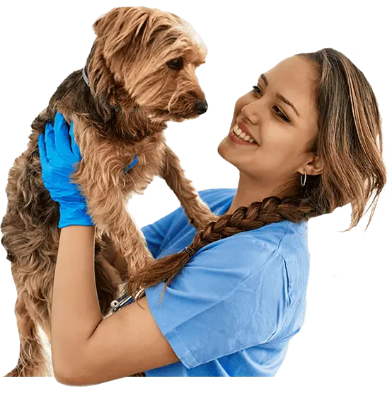 Auxiliar de Veterinária