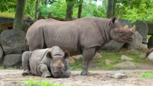 Curso Animais Exóticos e Tratador de Zoológico