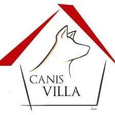 logo-canis-villa