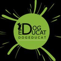 Empresa Treinador de CãesDOGEDUCAT