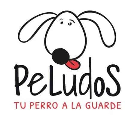Peludos – empresa treinos de cães