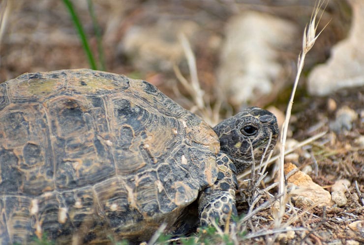 Imagen cabecera post