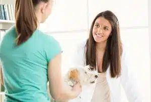 Comunicar com Eficiência: Melhores Práticas para Auxiliares de Veterinária