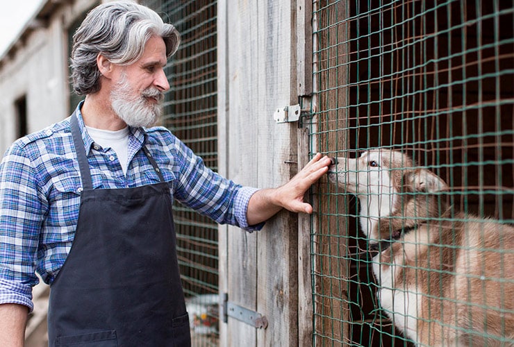 Imagen cabecera post