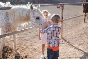 Terapia com cavalos para crianças