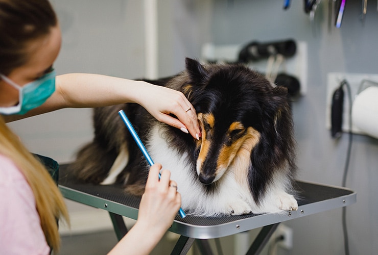 Imagen cabecera post