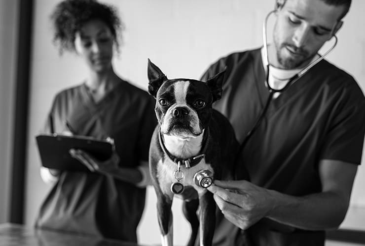 Imagen cabecera post