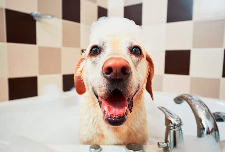 Imagen cabecera post