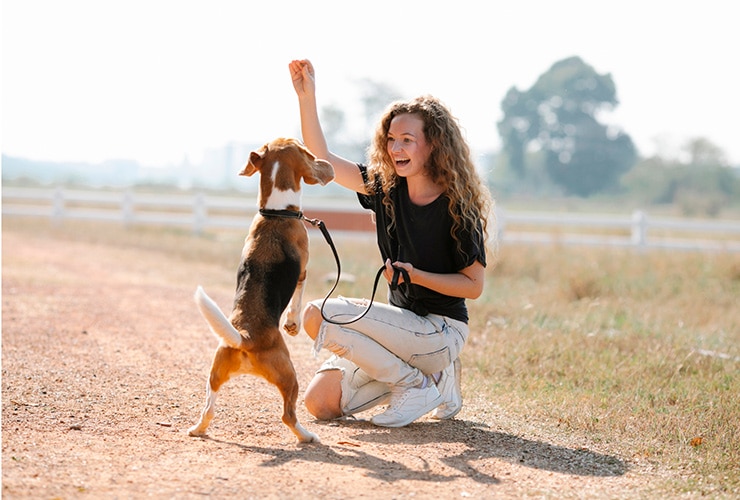 Imagen cabecera post