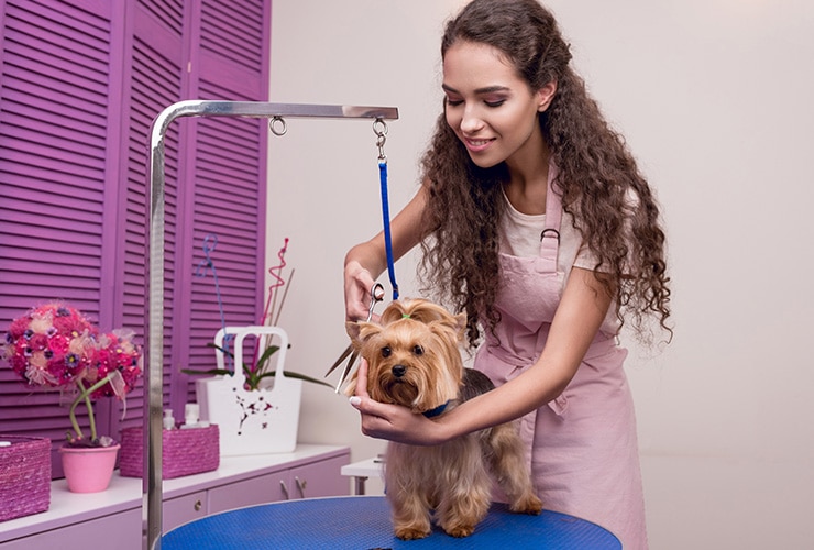 Imagen cabecera post