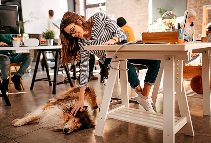 Imagen cabecera post