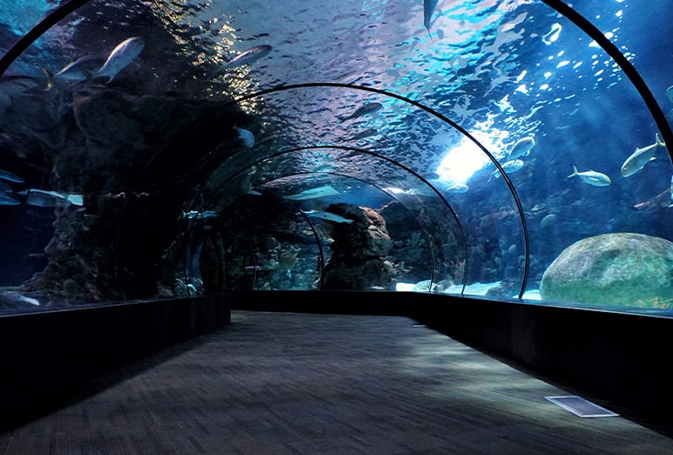 Imagen cabecera post