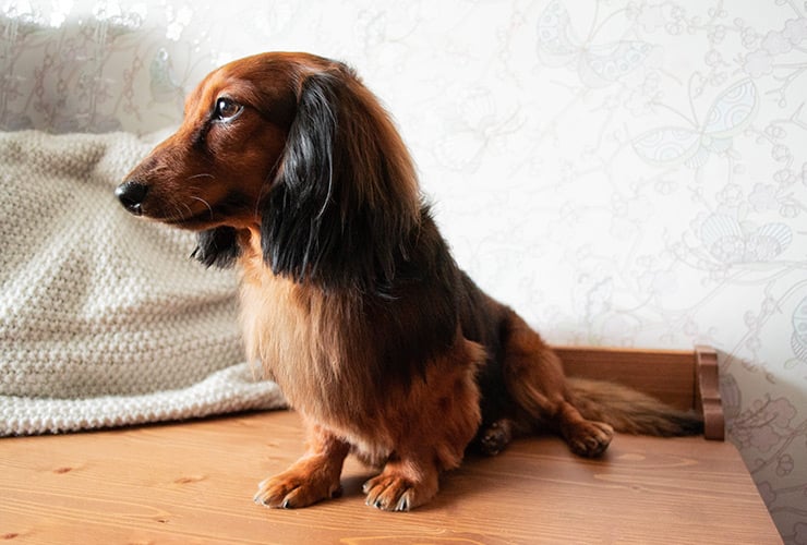 Imagen cabecera post