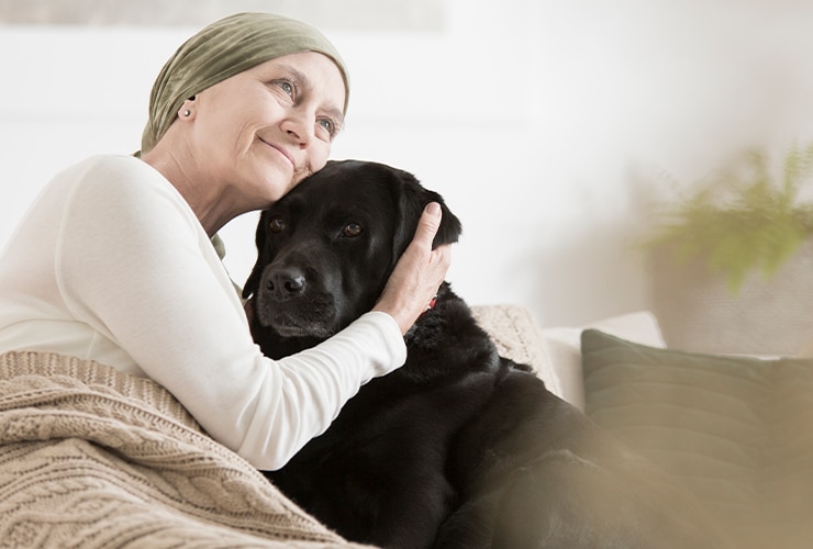 Imagen cabecera post