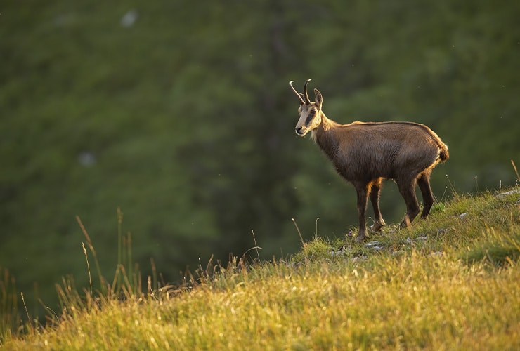 Imagen cabecera post