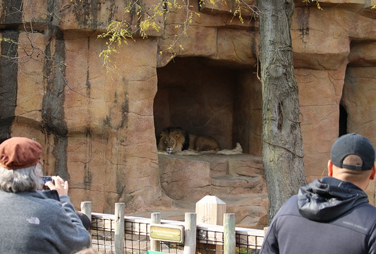 Imagen cabecera post