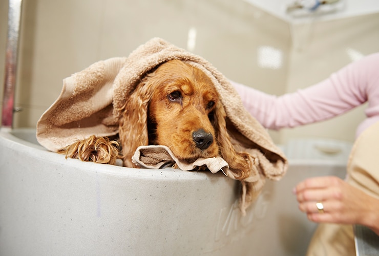 Imagen cabecera post