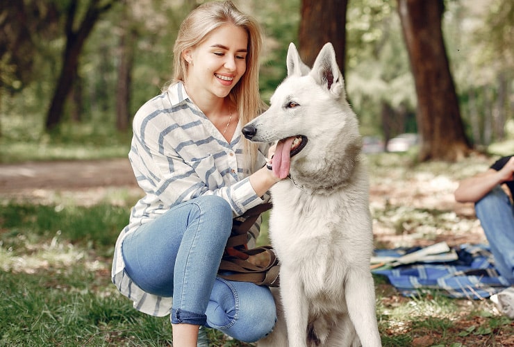 Imagen cabecera post