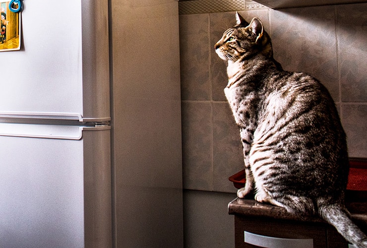 Imagen cabecera post