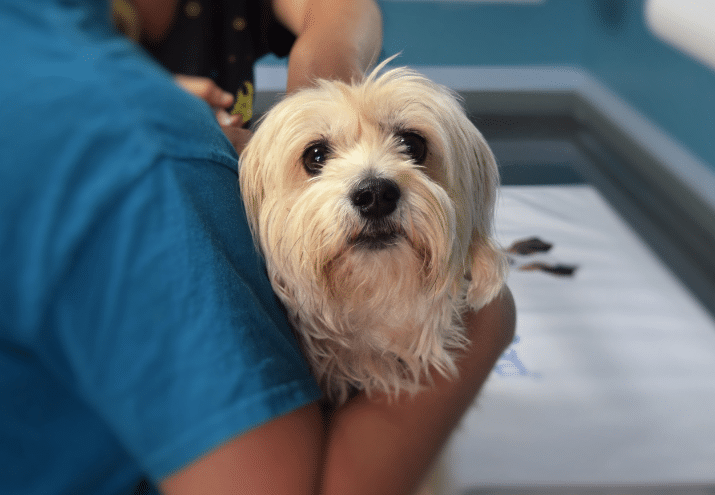 Imagen cabecera post