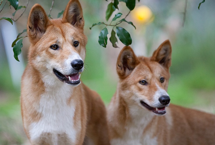 Imagen cabecera post