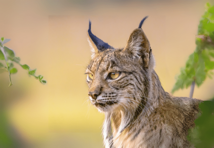 Imagen cabecera post