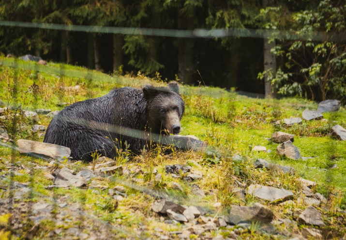 Imagen cabecera post