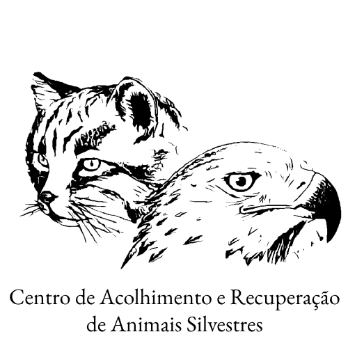 Logo_CARAS_pb_transp_com_legenda