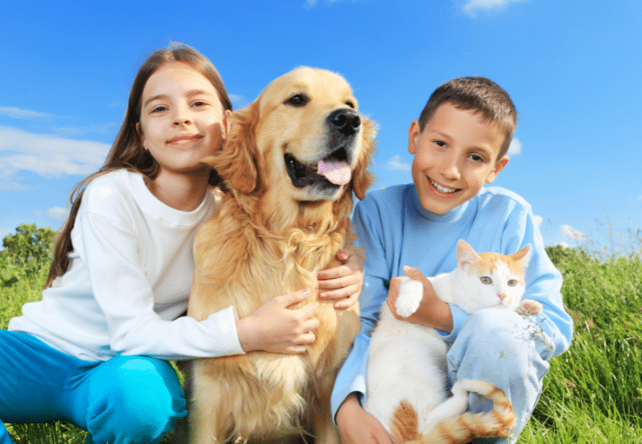 Imagen cabecera post