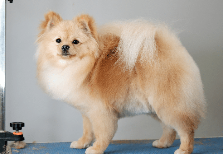 Imagen cabecera post