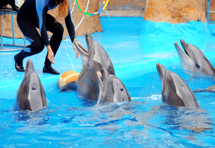 Imagen cabecera post