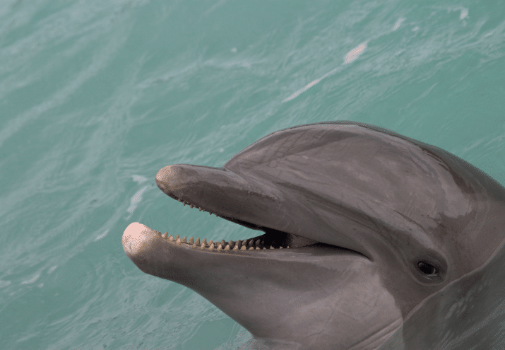 Imagen cabecera post