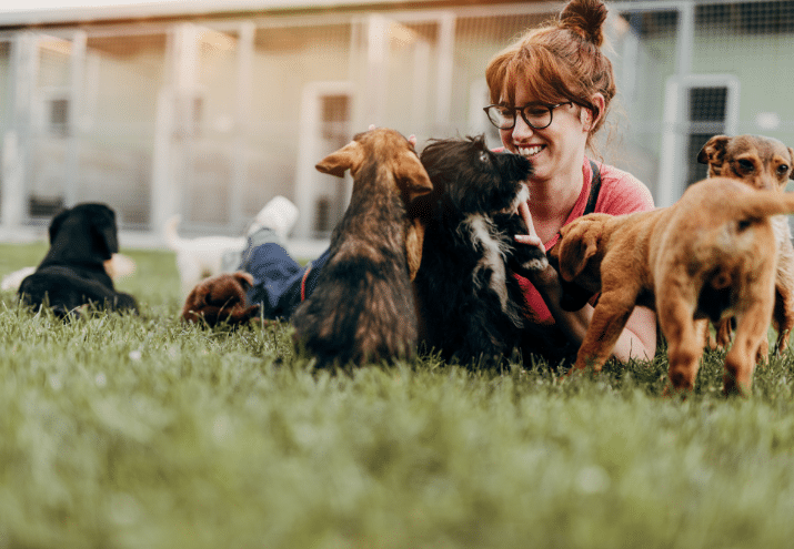 Imagen cabecera post