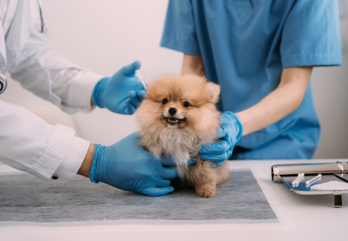 Imagen cabecera post