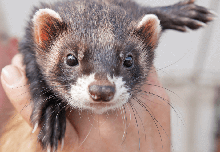 Imagen cabecera post