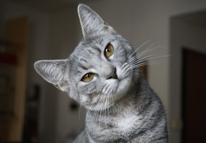 Imagen cabecera post