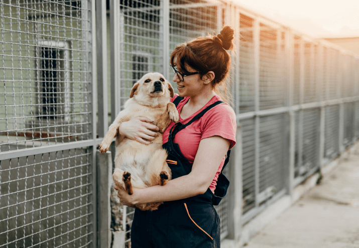 Imagen cabecera post