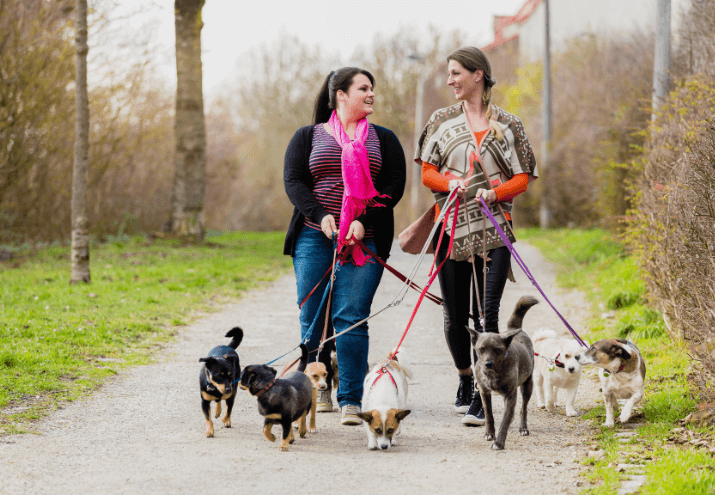 Imagen cabecera post