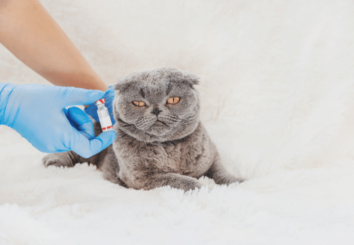 Imagen cabecera post